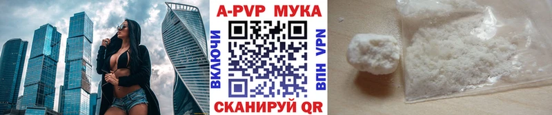 APVP СК  Зубцов 