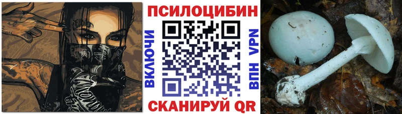 blacksprut как зайти  купить  цена  Зубцов  Галлюциногенные грибы прущие грибы 